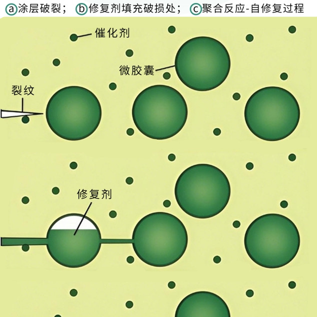 自修复系列微胶囊