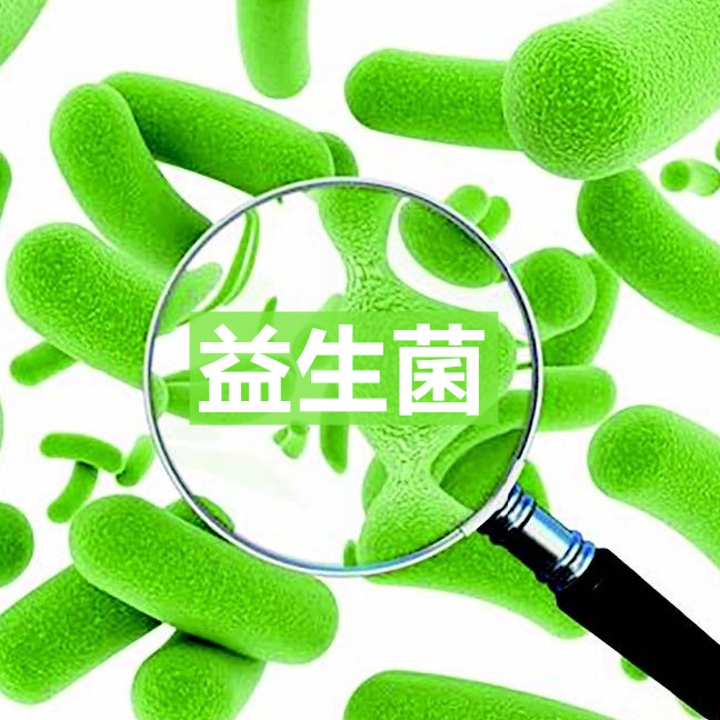 益生菌系列微胶囊