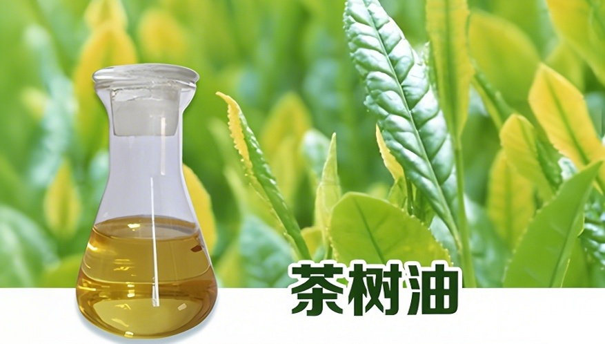 一起解锁茶树油微胶囊